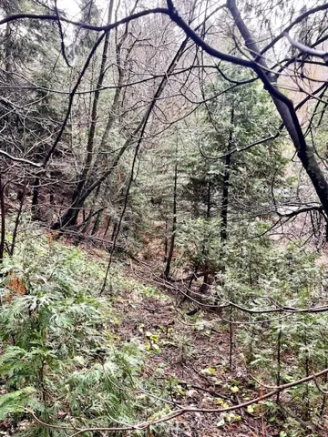 27680 Meadow Drive, Lake Arrowhead, California 92352