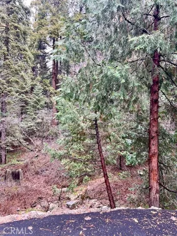 27680 Meadow Drive, Lake Arrowhead, California 92352