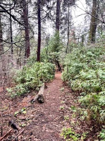 27680 Meadow Drive, Lake Arrowhead, California 92352