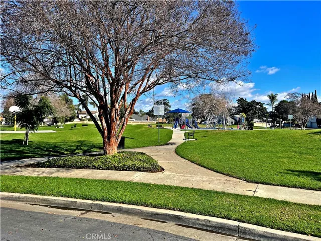 Park