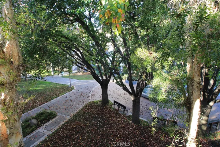 244 S Orange Grove Boulevard 203, Pasadena, California 91105