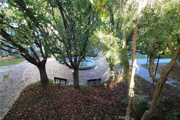 244 S Orange Grove Boulevard 203, Pasadena, California 91105