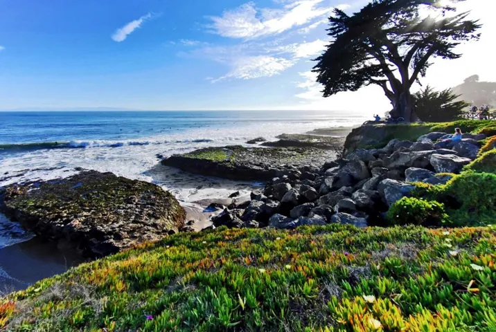 422 Woodland Way, Santa Cruz, California 95060