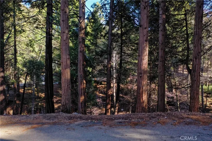 0 Golden Lane, Lake Arrowhead, California 92352