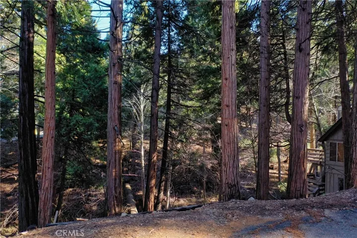 0 Golden Lane, Lake Arrowhead, California 92352