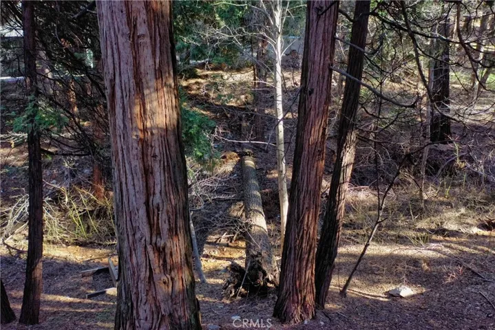 0 Golden Lane, Lake Arrowhead, California 92352