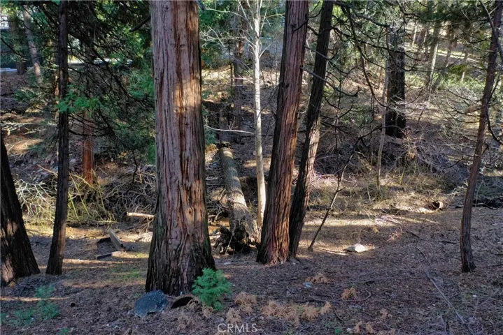 0 Golden Lane, Lake Arrowhead, California 92352