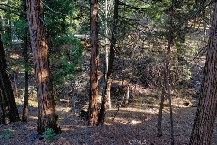 0 Golden Lane, Lake Arrowhead, California 92352