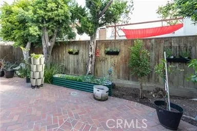 Trees lining the back patio