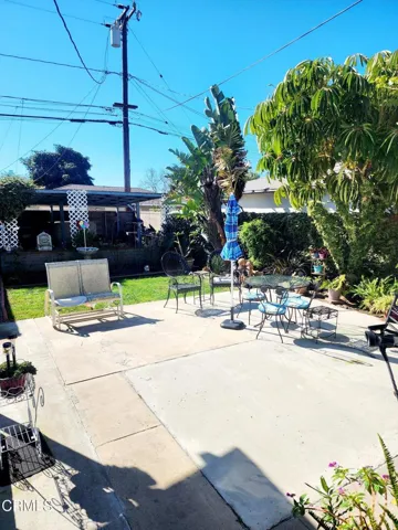 backyard 2