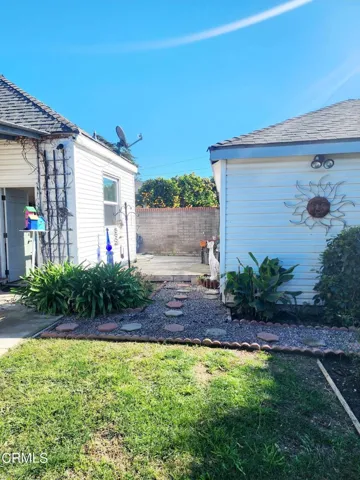 backyard 3