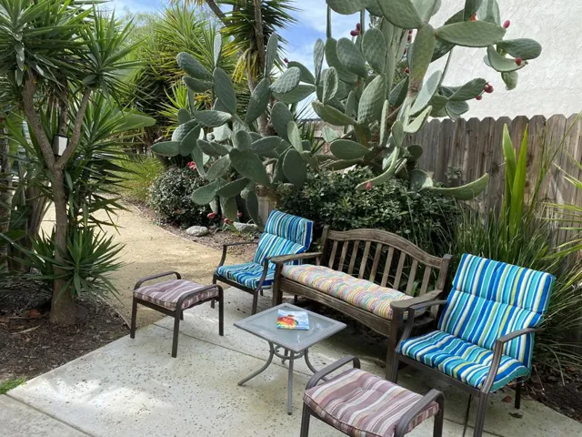 Side area 1