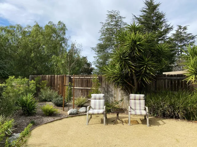 Back Yard 1