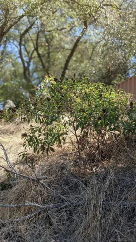 0 Hillcrest Avenue, Escondido, California 92026