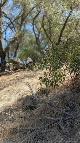 0 Hillcrest Avenue, Escondido, California 92026