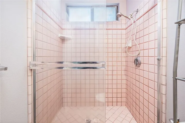 lower level guest bathroom