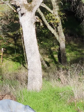 0 0 Pinemont, Oroville, California 95965
