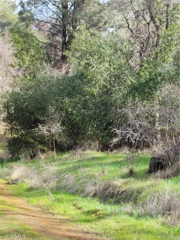 0 0 Pinemont, Oroville, California 95965