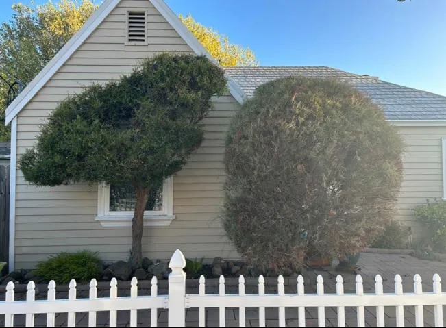 118 Poplar Ave., San Bruno, California 94066