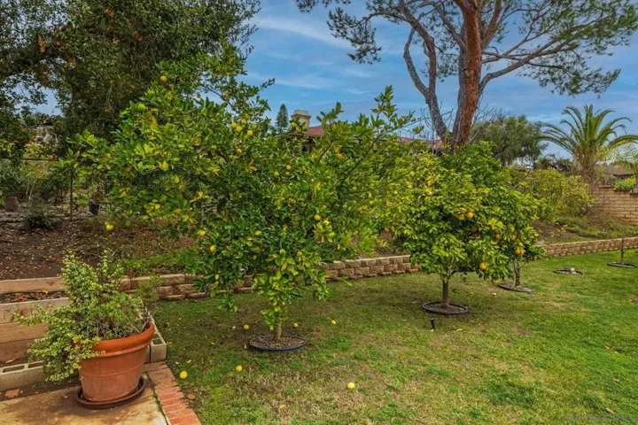 514 Eldorado, Escondido, California 92025