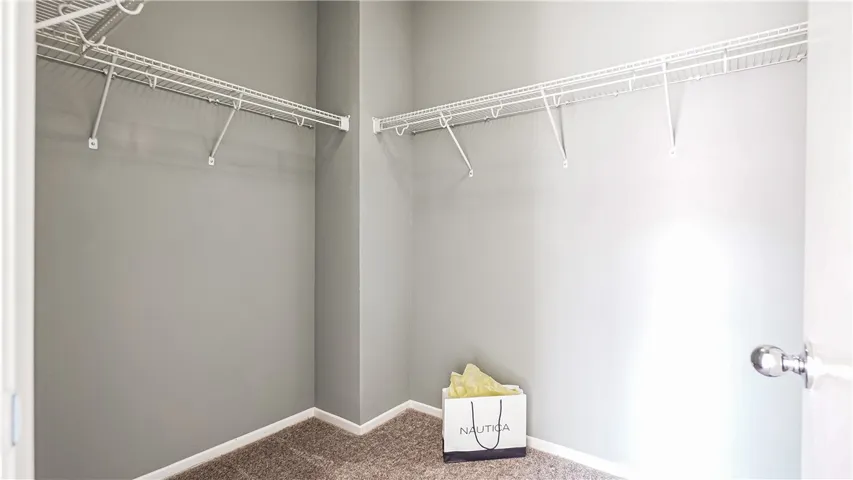 Walk in Closet- Master
