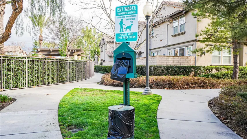 Dogs Walkway