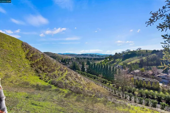 375 S Eagle Nest Ln, Danville, California 94506