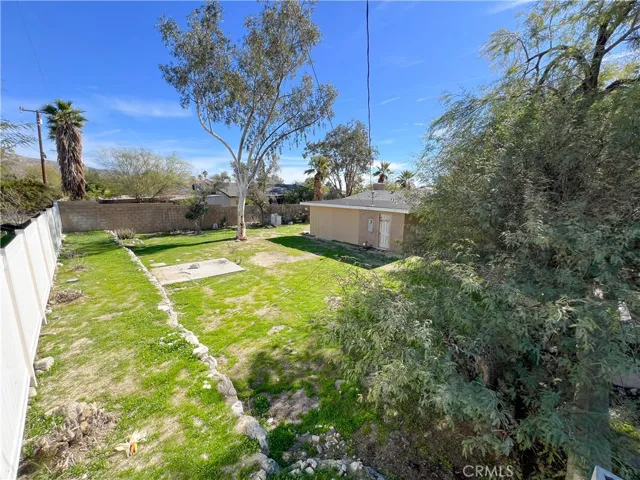 Backyard Wide Shot