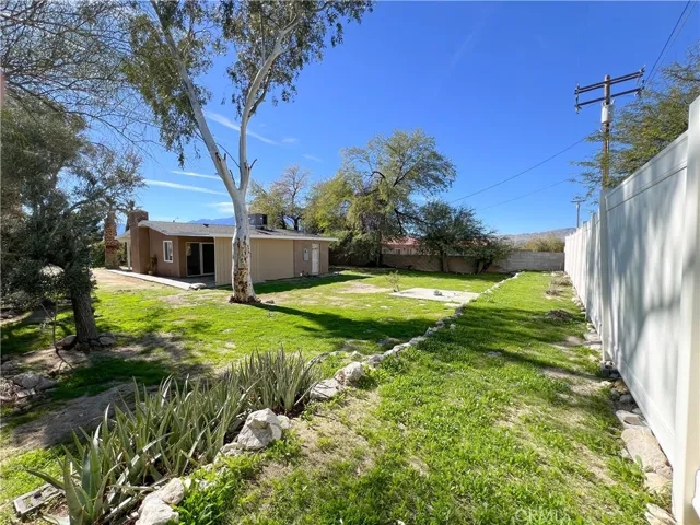 Backyard Wide Shot