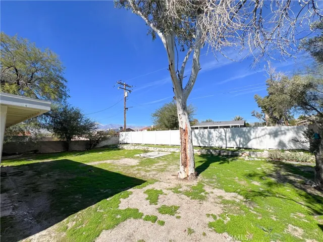 Backyard
