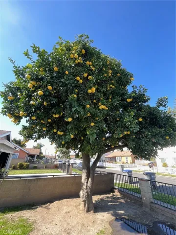12248 223rd Street, Hawaiian Gardens, California 90716