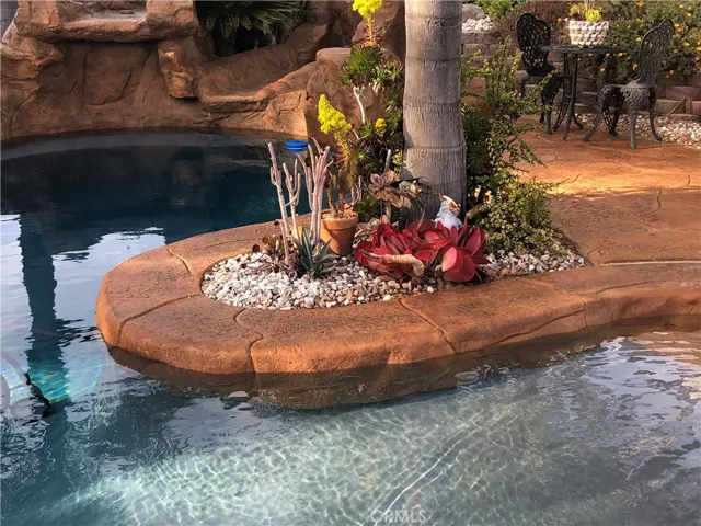 Pool and landscaping