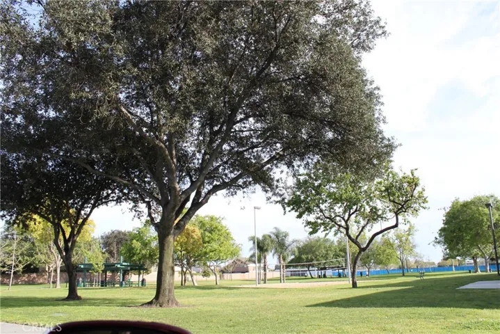 Local Park