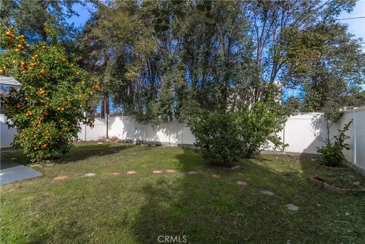 Huge parklike yard with fruit trees