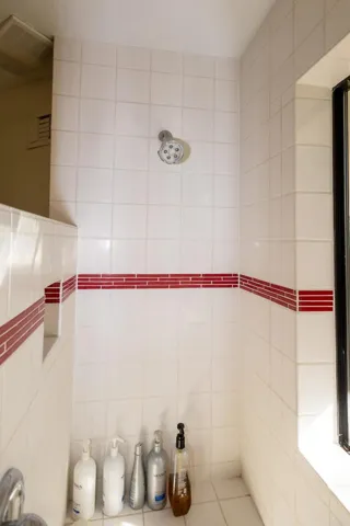 Primary Shower