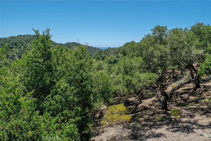 2855 Rock Wren Lane, Avila Beach, California 93424
