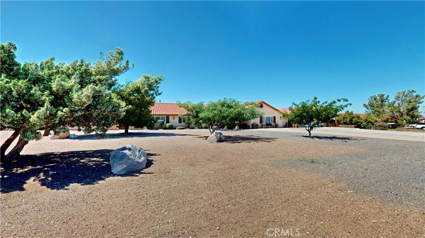 landscape boulders, mature trees and shrubs.