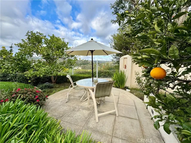 backyard patio with views
