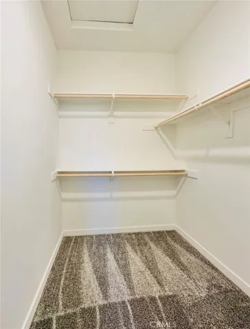 Master Walk-in Closet