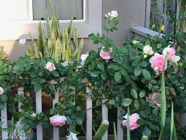 Pictures show when flowers are in bloom