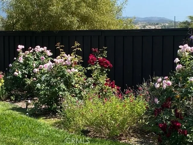 Pictures show when flowers are in bloom