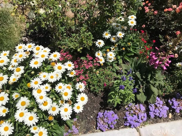 Pictures show when flowers are in bloom