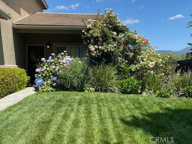 Pictures show when flowers are in bloom