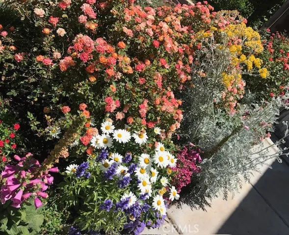 Pictures show when flowers are in bloom