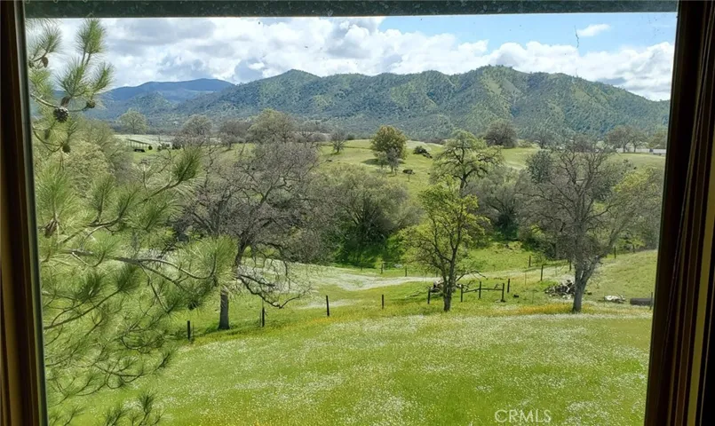 View out the primary bedroom.