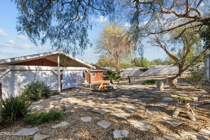 Backyard 3