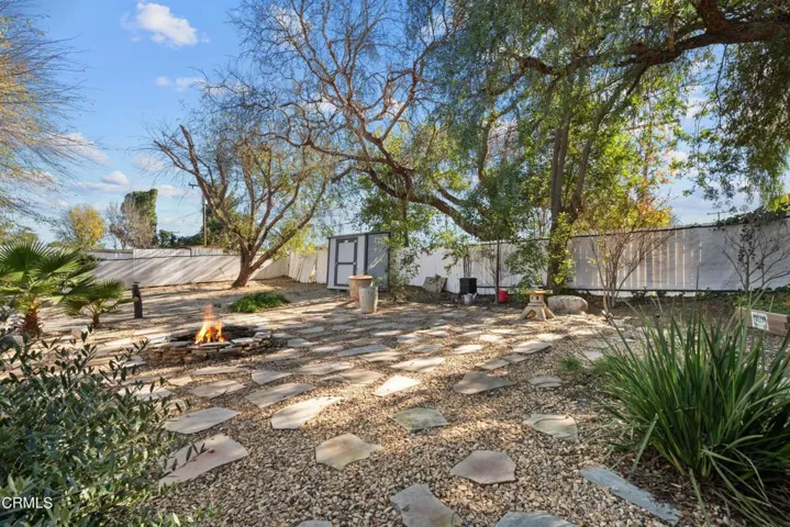 Backyard 4