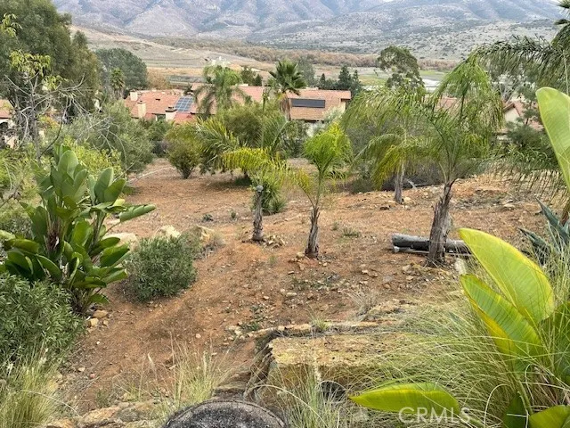 rear yard