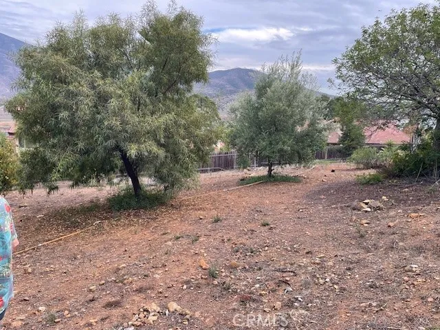 rear yard