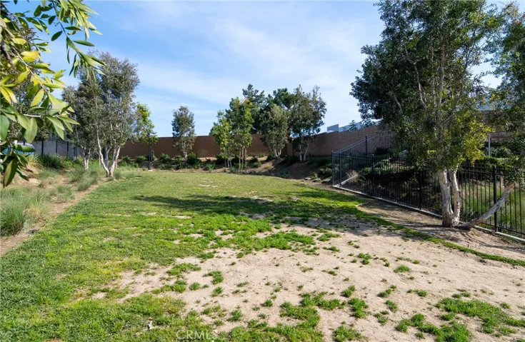 Dog park